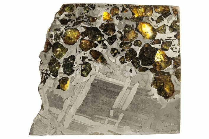 Seymchan Pallasite Meteorite Slice ( g) - Russia #305584